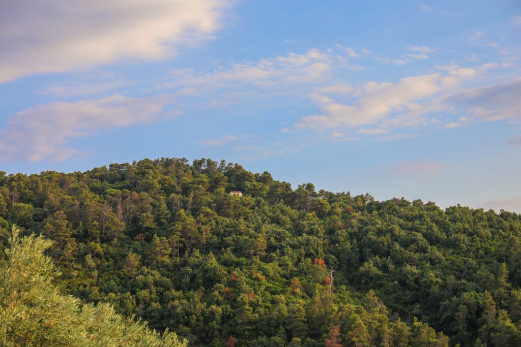 The green forest and the blue sunset sky at Skiathos Island in Greece